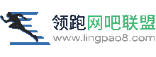领跑网吧增值联盟